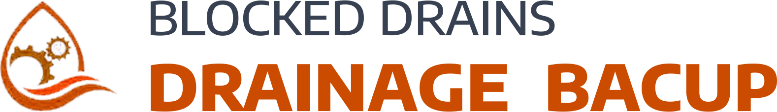 website logo